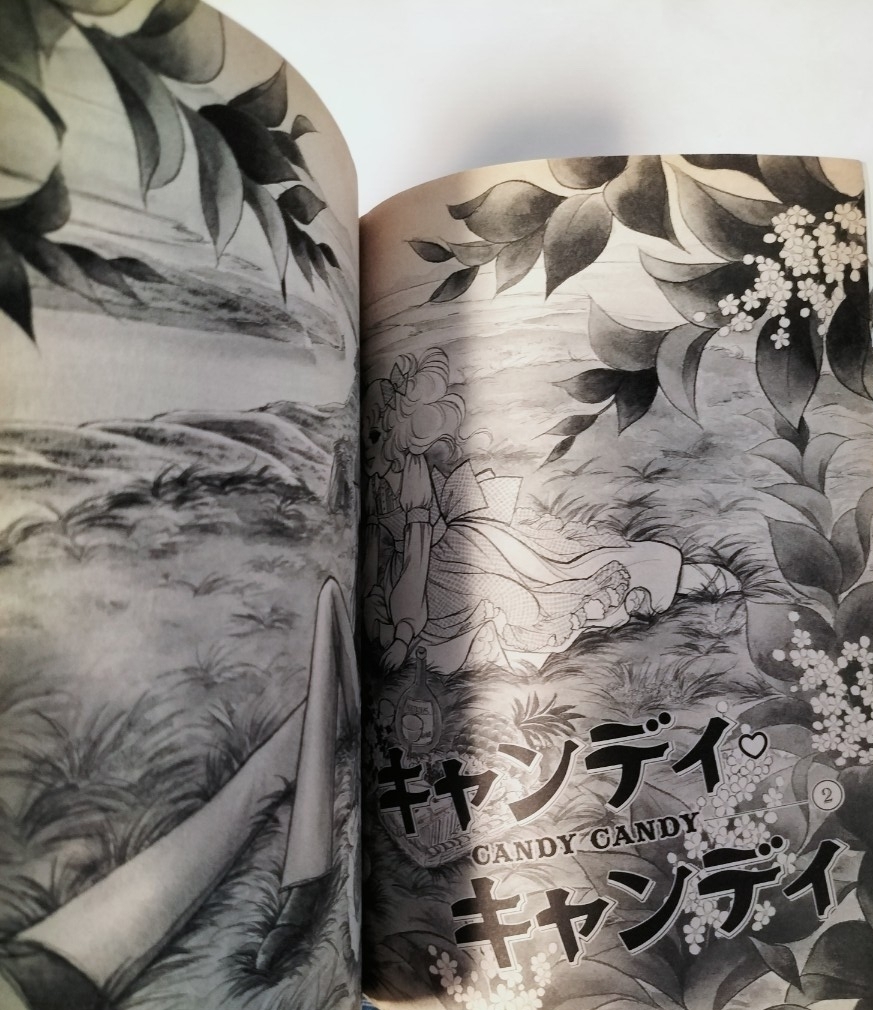 絶版キャンディ・キャンディ愛蔵版 全巻セット いがらしゆみこ 水木