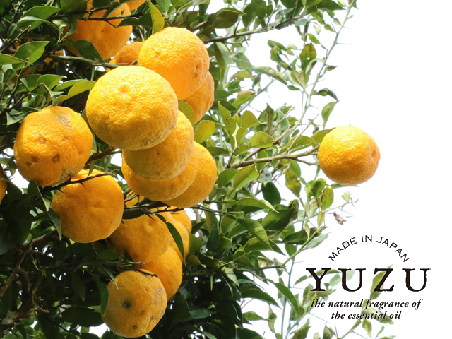 高知県産の柚子精油を配合 YUZUシリーズより、『ゆずせっけん