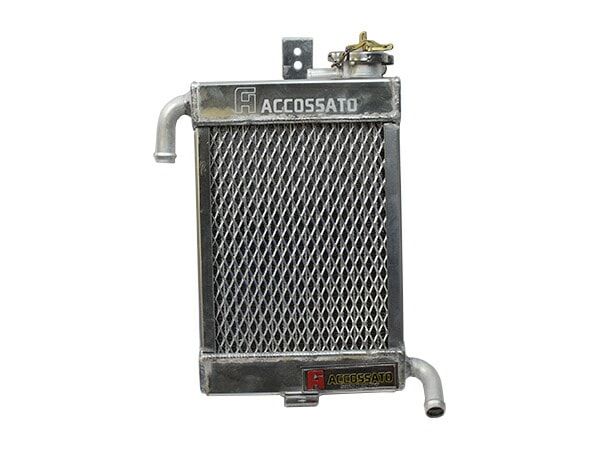 JOG50 グランドアクシス100 BW'S100 水冷化 ラジエーターキット DIO