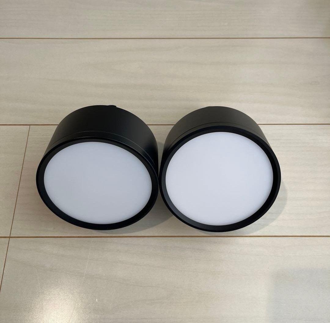 エジソンスマート ミニシーリングライト アーム付き　ダクトレール用　2個セット エジソンスマート ミニシーリングライト アーム付き ダクトレール用 2