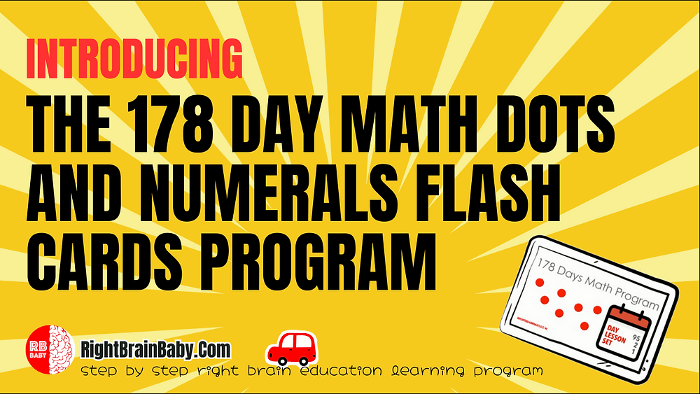 Introducing The 178 Day Math Dots and Numerals Flash Cards Program
