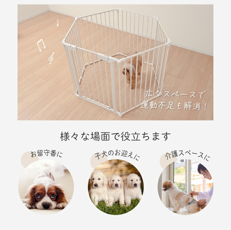 楽天市場】【3/3 20時〜先行セール ポイント10倍】スチールペット