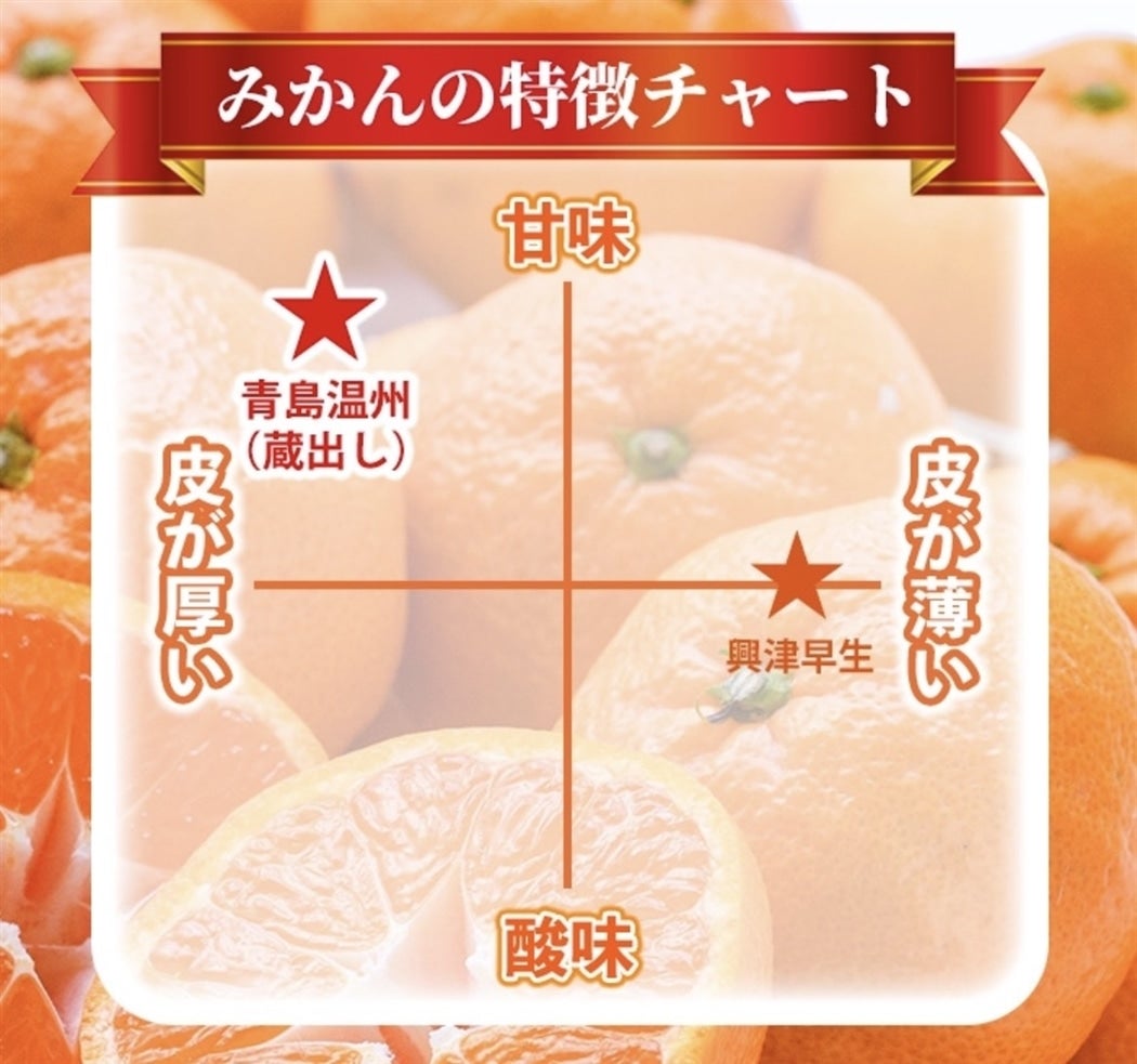 農家直送！井上農園 蔵出しみかん 5kg（大分県宇佐市産 青島温州