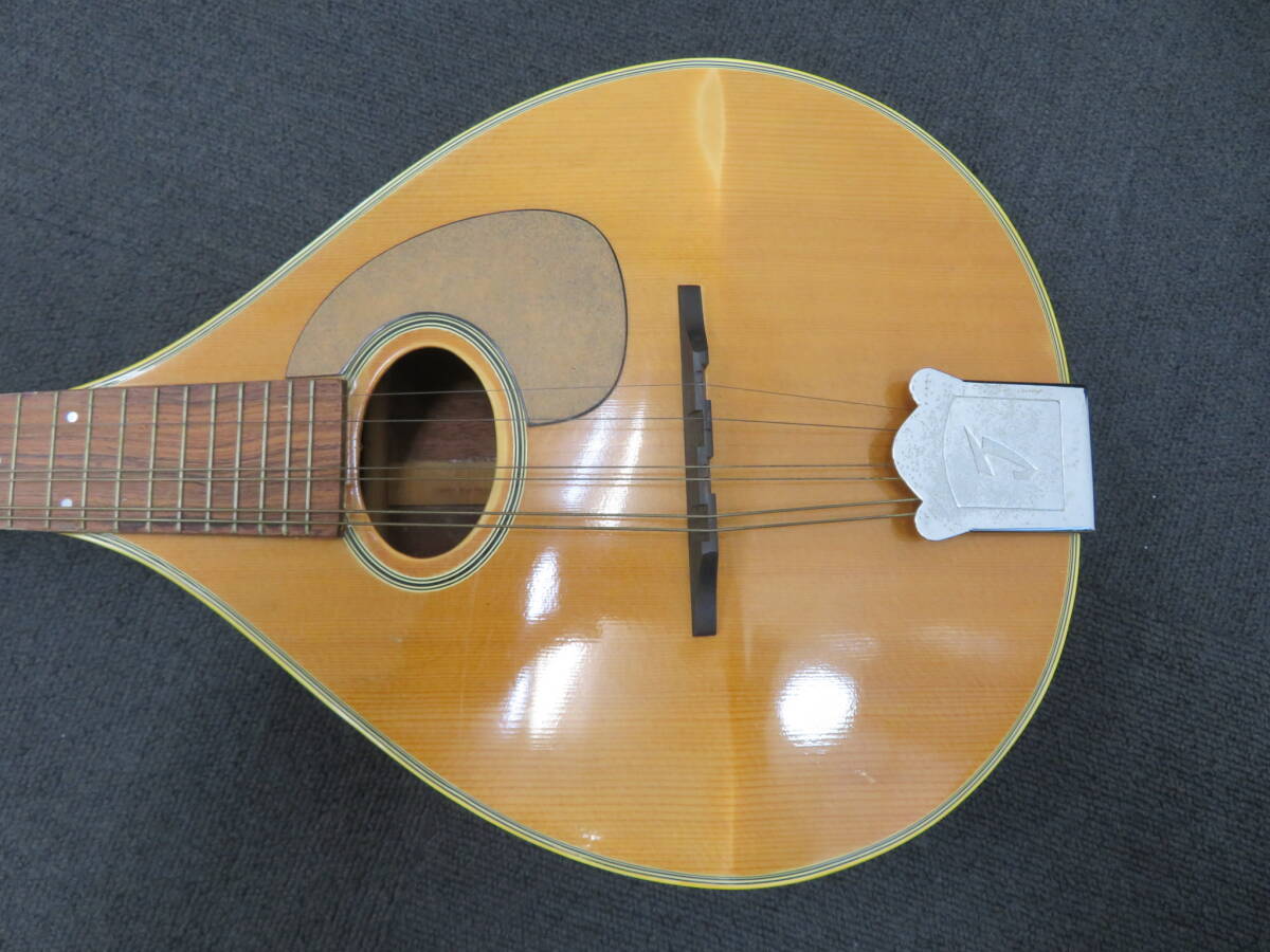 Yahoo!オークション - ジャンボ フラットマンドリン 現状 田原楽器 Jum