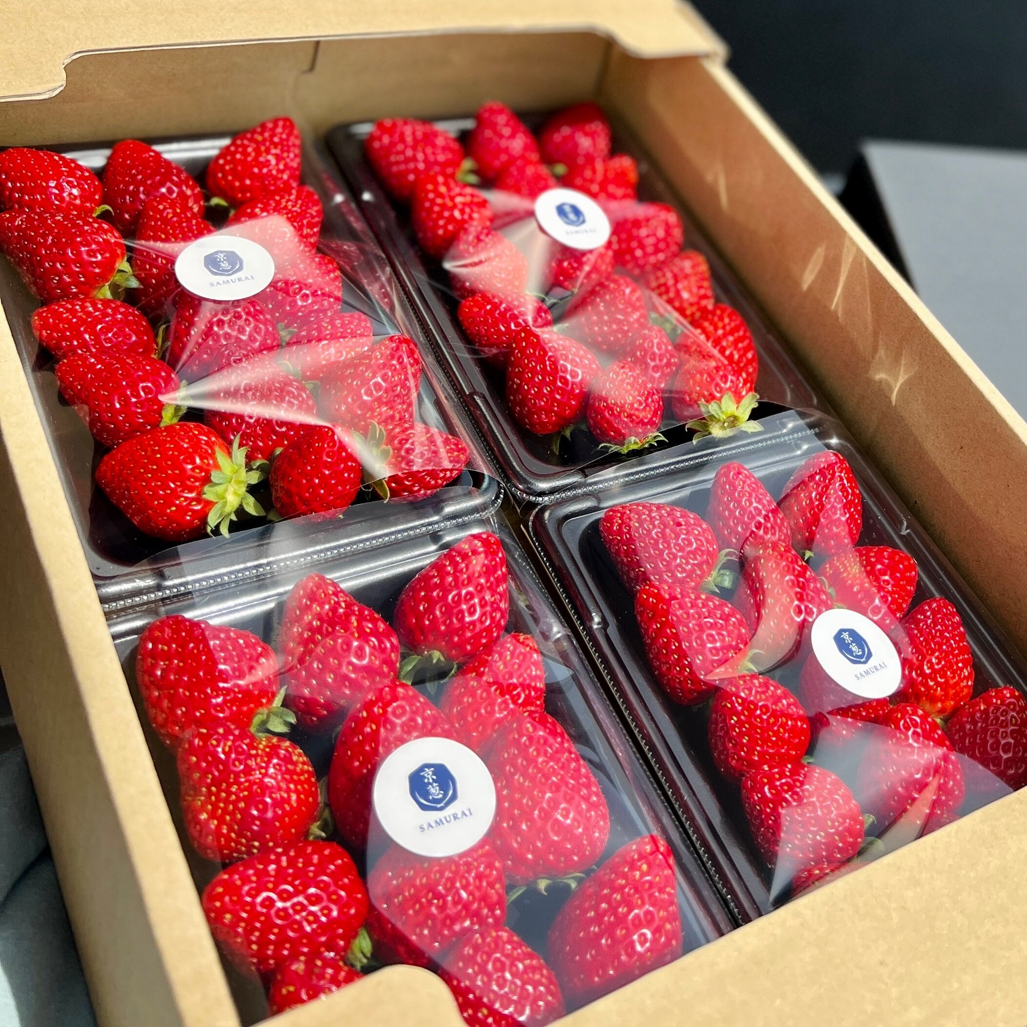 5月下旬まで【京都府久世郡産】SAMURAIのいちご 4パック | 大畑大介商店