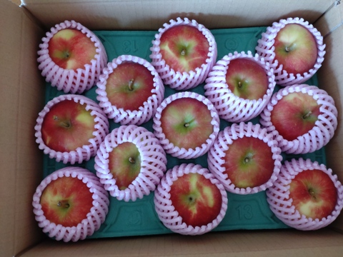 🍎幻の夏りんご🍎夏あかり 3キロ箱 小玉品種〜18玉 商品ID40928 長野県