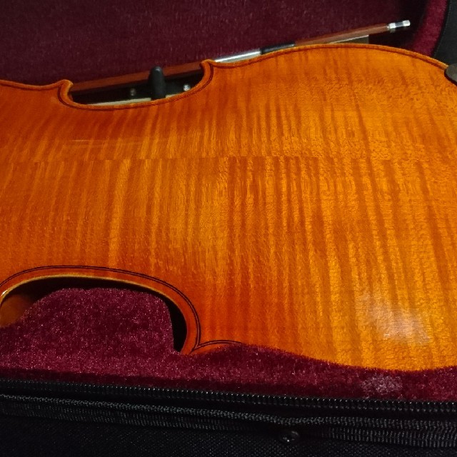 平日セール】Roderich Paesold バイオリン 804A 4/4の通販 by せいくん