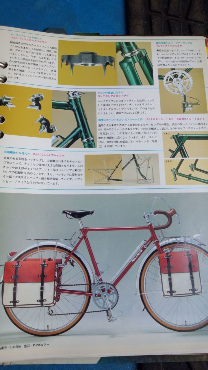 ミキスト ユーラシアレディ発見と2枚肩の変更 : いらっしゃ～い