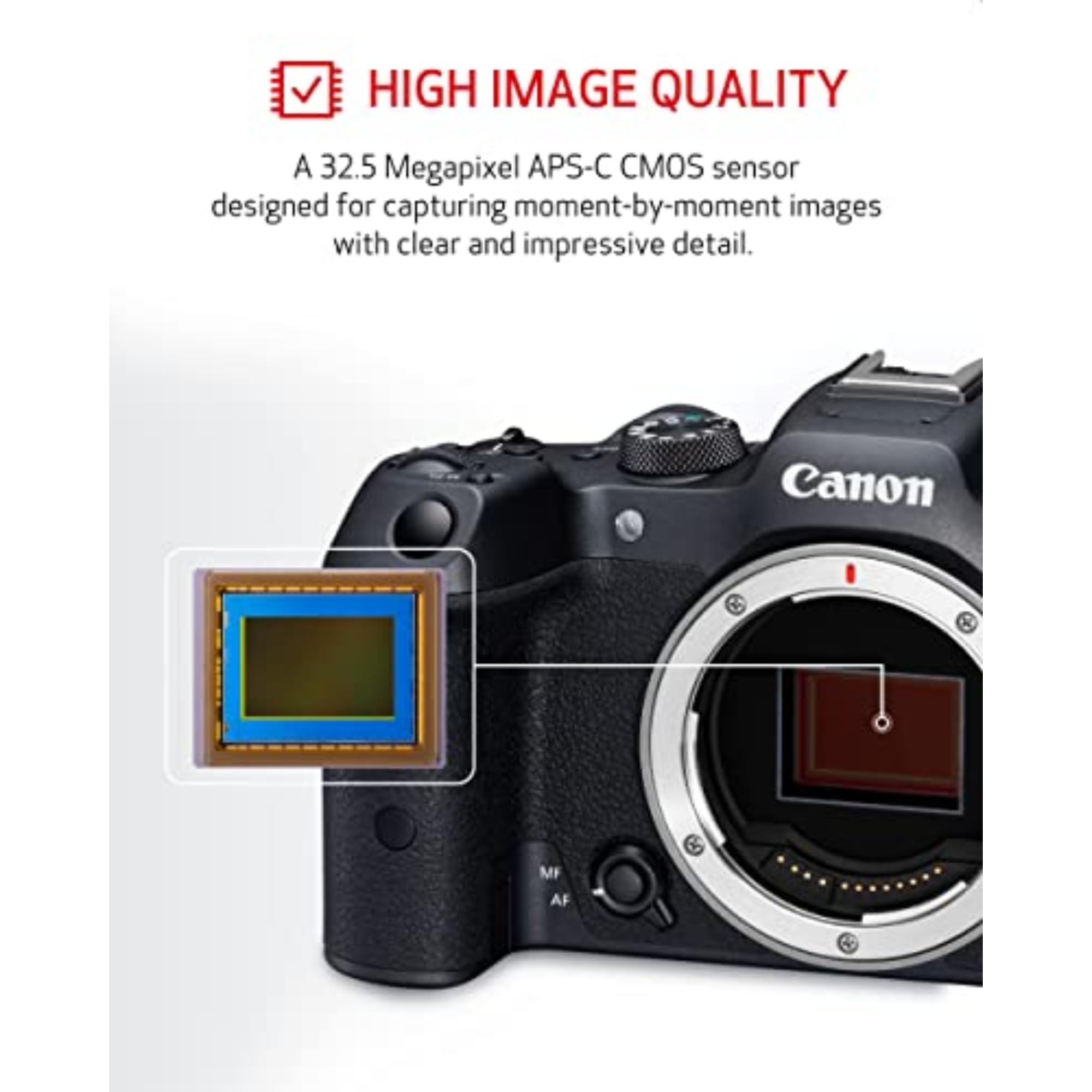 Amazon | Canon (キャノン) ミラーレス一眼カメラ EOS R7 ボディ