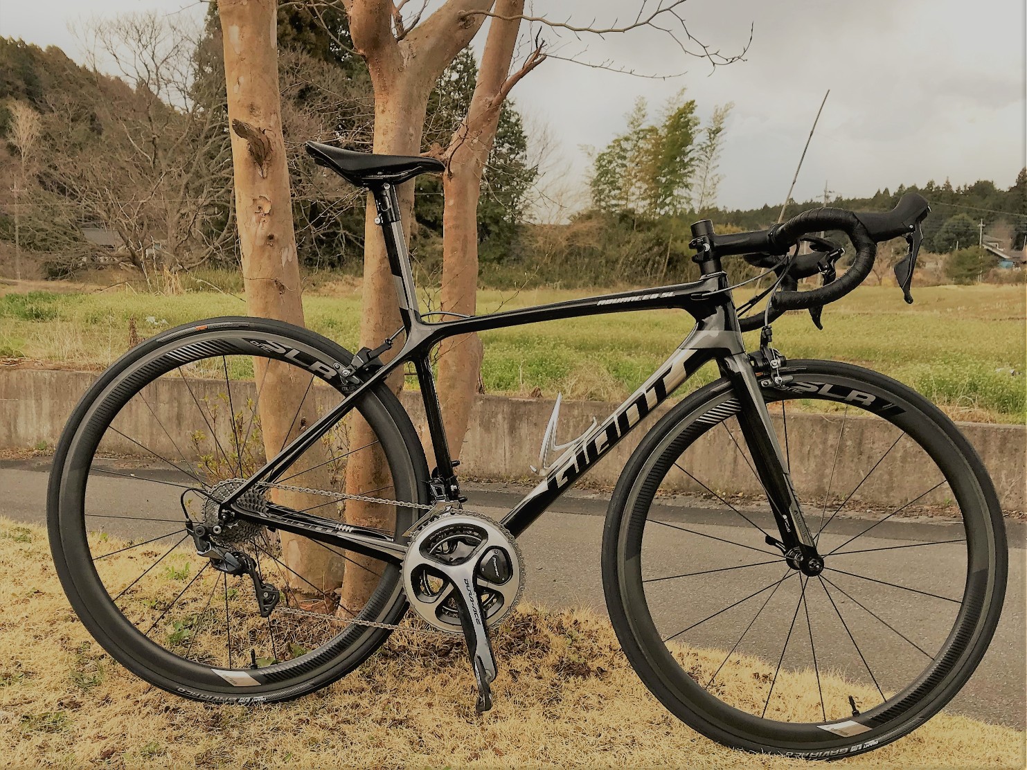 試乗車「TCR ADVANCED SL 2（2019）」 | 夏草自転車店