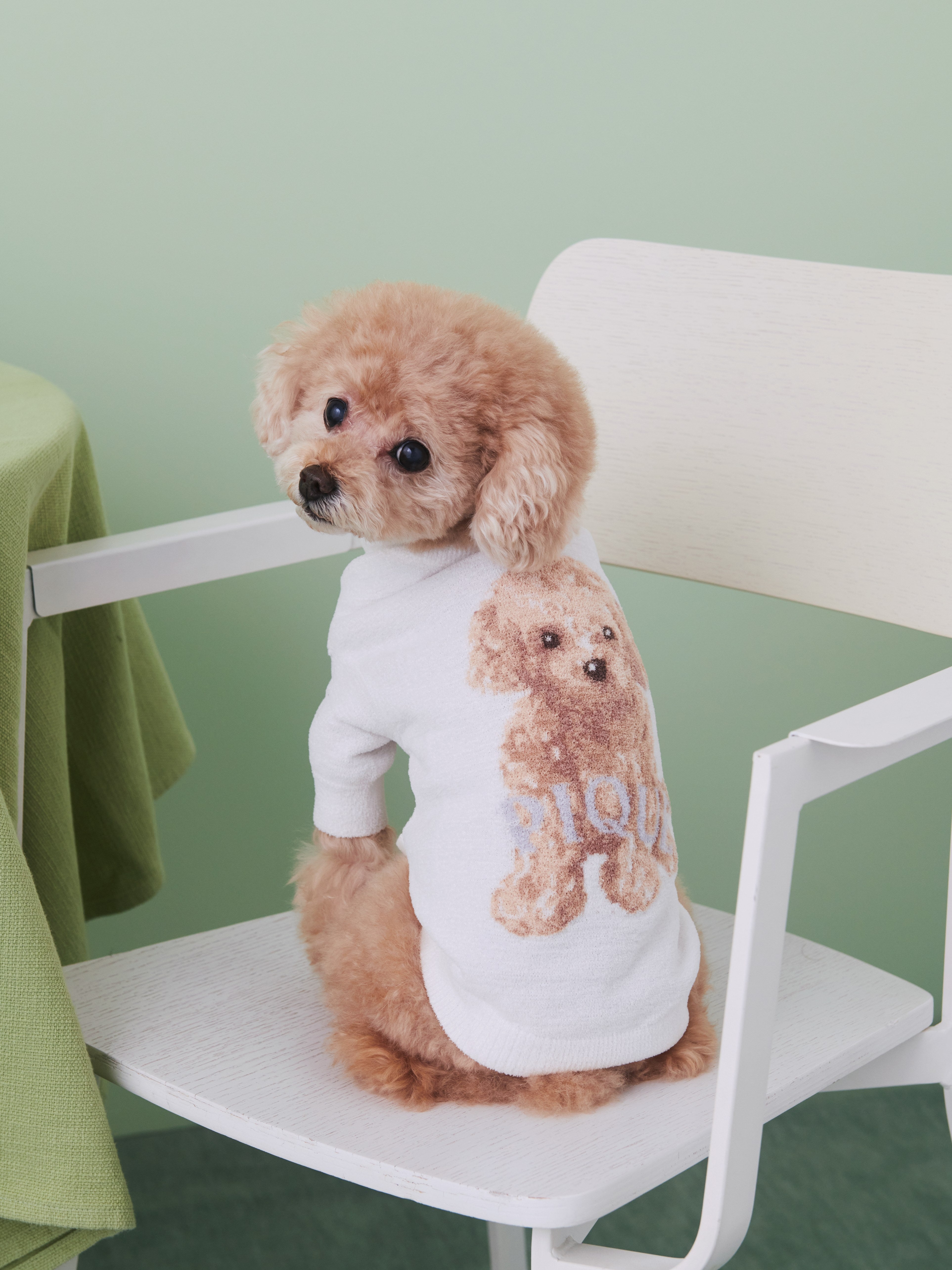 gelato pique(ジェラート ピケ)】甘えたような表情が愛らしいトイ