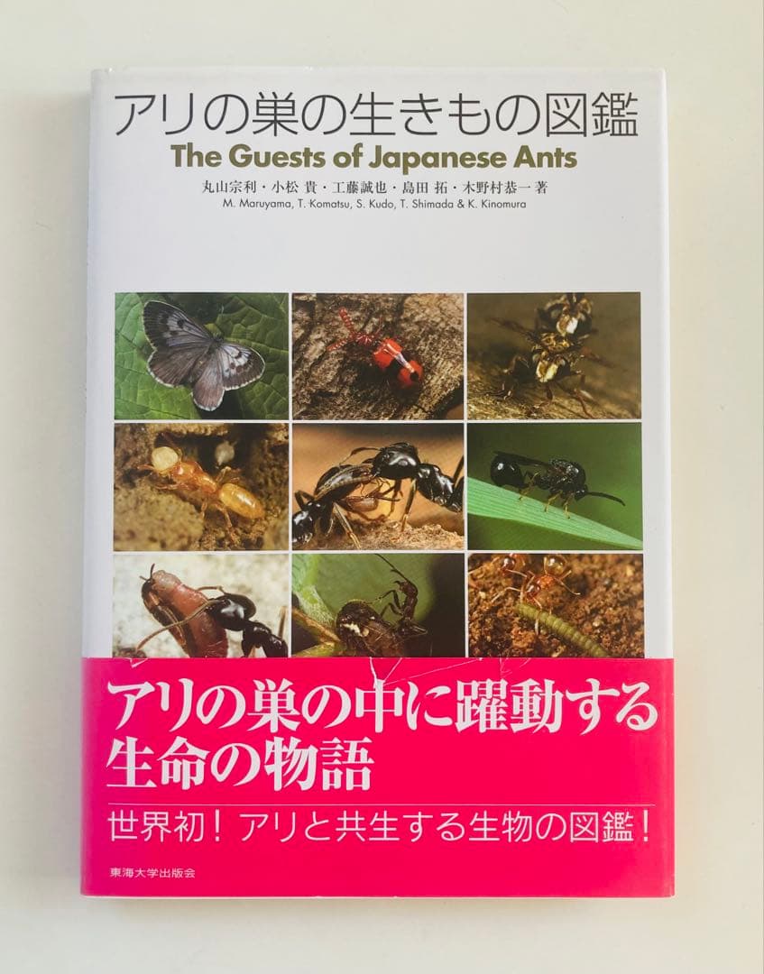 アリの巣の生きもの図鑑 アリの巣の生きもの図鑑(丸山宗利, 小松貴, 工藤誠也, 島田拓, 木野村