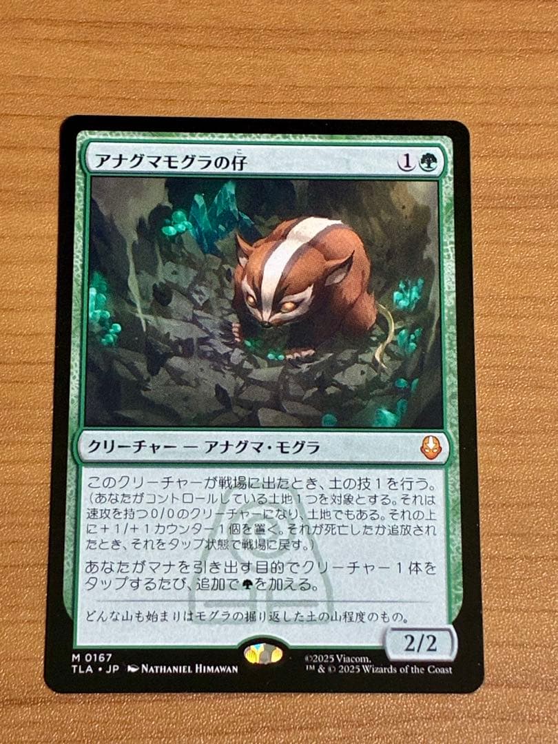 MTG アナグマモグラの仔 [TLA] 日本語版 １枚 TLA)Badgermole Cub(0167)/アナグマモグラの仔 | 神話レア・レア